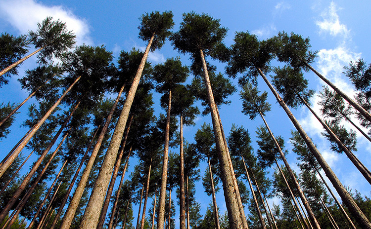 組合概要について